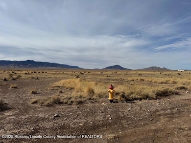 101 Jimson Weed, Carrizozo, NM 88301 - photo 4