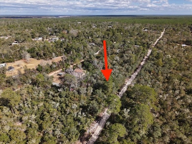 0 NE 233rd Ln unit 22106893, Fort Mc Coy, FL 32134 - photo 4