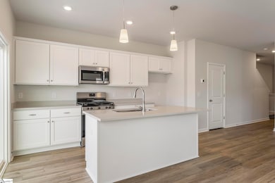 35 Nonnington Way unit Homesite 120, Taylors, SC 29687 - photo 6