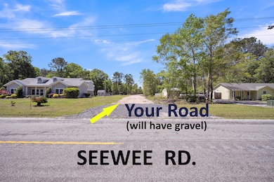5554 Giddyup Ln, Awendaw, SC 29429 - photo 5