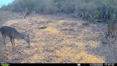 0 Cameron Lane - 40 Acres unit 468248, Fowlerton, TX 78021 - photo 3