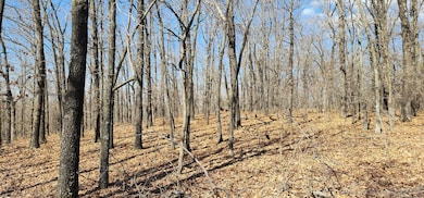 13780 S 4220 Rd, Claremore, OK 74017 - photo 7