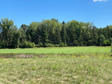 Overlooks pond & fairway of hole #16