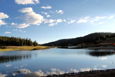 Community Fishing Pond Nearby