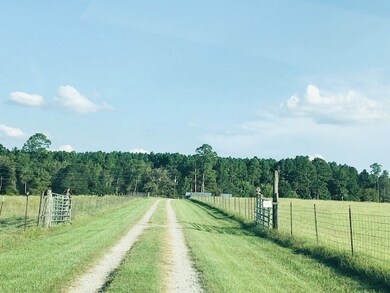 4997 Lyons Center Rd, Vidalia, GA 30474 - photo 2