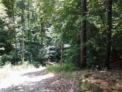 PLENTY OF MATURE TREES ON THIS LAND!