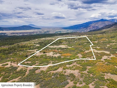 TBD Usfs Forestroad 132a, Questa, NM 87556 - photo 3