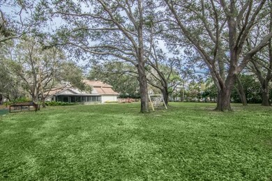 Back Yard view to house - plenty of space for the 
