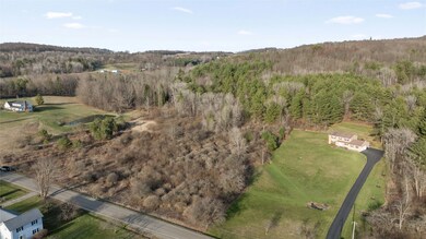 0 Foster Valley Rd unit 330660, Owego, NY - photo 4