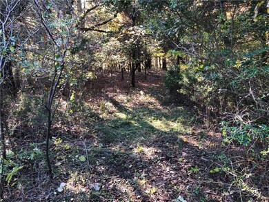 0 Sulphur City & Stokenbury Rd unit 1131158, Elkins, AR 72727 - photo 4