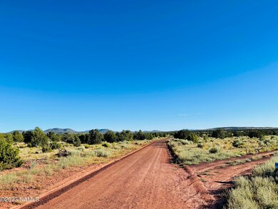 4378 Lasso Loop Photo 9