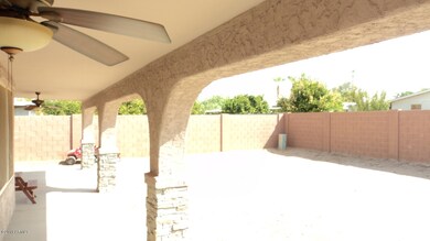Back yard