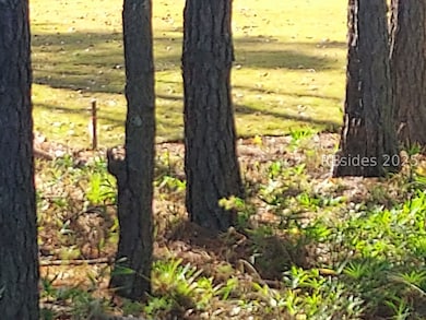 379 Azalea Dr, Hardeeville, SC 29927 - photo 7