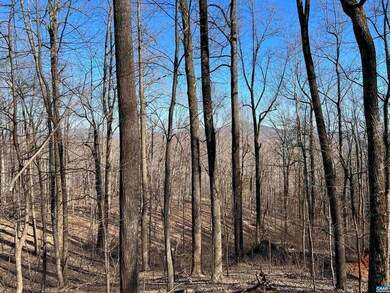 22 Pauls Creek Ct, Nellysford, VA 22958 - photo 3