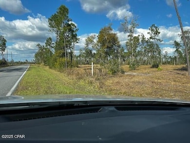 00 Jarrott Daniels Rd, Wewahitchka, FL 32465 - photo 2