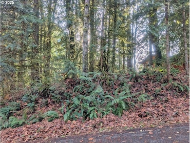 00971354 E Rolling Green Ct, Mount Hood Village, OR 97067 - photo 5