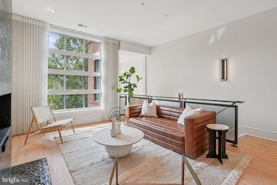 520 1 2 13th St SE unit B, Washington, DC 20003 - photo 3