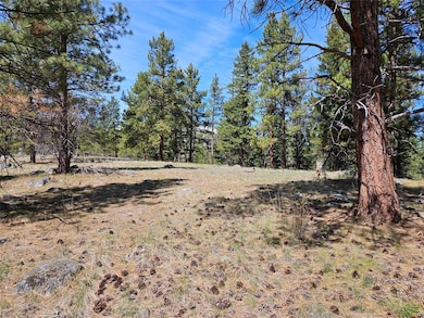 375 Healer Rd, Hamilton, MT 59840 - photo 7