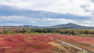 423 Beech Hill Rd, Northport, ME 04849 - photo 2