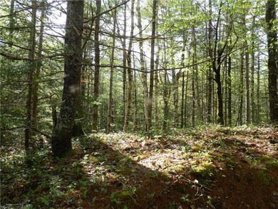 Along main camp road frontage