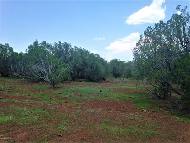 108 Camp Rd, Ash Fork, AZ 86320 - photo 5