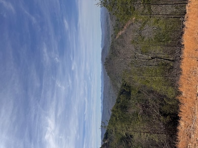 LT 35 Crested Eagle Ln, Murphy, NC 28906 - photo 2