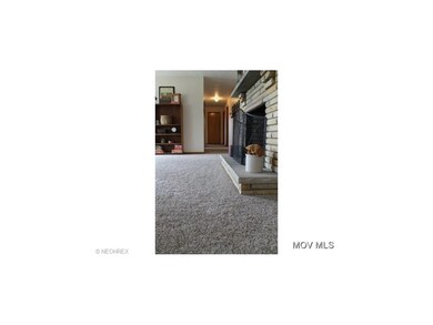 New Carpet 050414