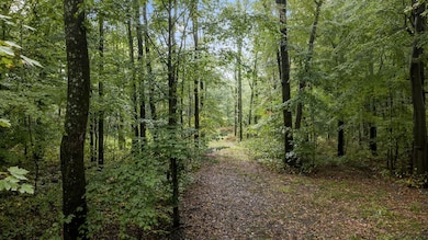 14-web-or-mls-DJI_0415