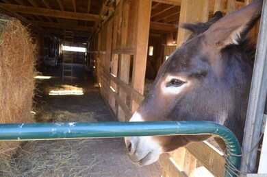 0 County Route 13 unit 116568, Chatham, NY 12136 - photo 4