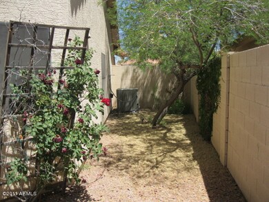 BackYard4