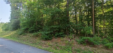 160 Beaver Lake Dr, West Union, SC 29696 - photo 2