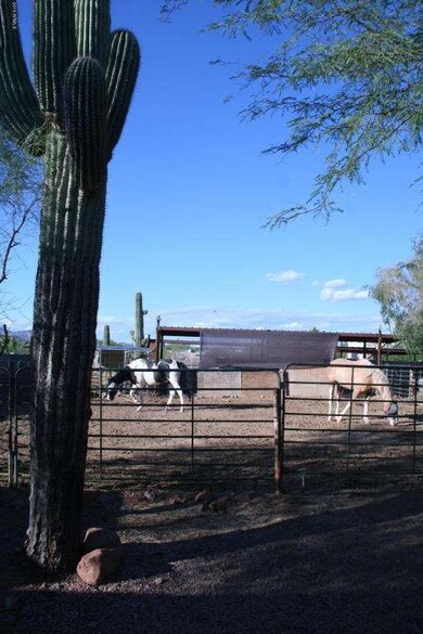 Horse property in Apache Junction with a
