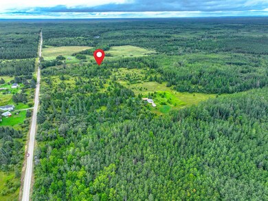 Aerial view of property and surrounding area featuring a forest