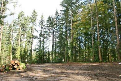 187 92nd Dr NW, Stanwood, WA 98292 - photo 3