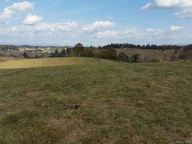 00 Old Newfound Rd, Leicester, NC 28748 - photo 4