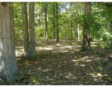 13 Drummore Dr, Bella Vista, AR 72715 - photo 5