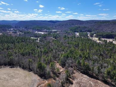 115 Old Robertsville Rd, Winsted, CT 06098 - photo 5