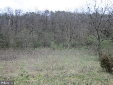 1150 Canoe River Dr, Rileyville, VA 22650 - photo 2