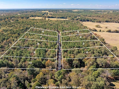 Lot 4 Creek Bend Trail, Troup, TX 75789 - photo 4