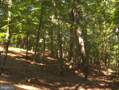 0 Magnolia Rd unit 1001180023, Great Cacapon, WV 25422 - photo 7