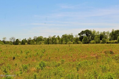 4.81ac Agricola Latonia Rd, Lucedale, MS 39452 - photo 5