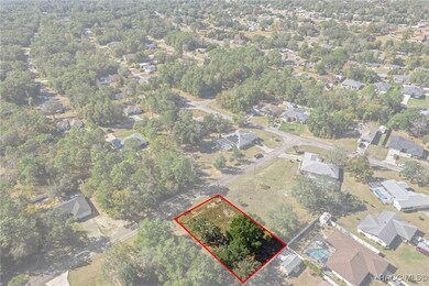 9171 N Hammond Way, Citrus Springs, FL 34434 - photo 5