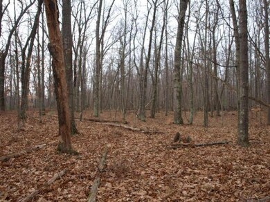 0 N Centerline Rd unit 13065638, White Cloud, MI 49349 - photo 6