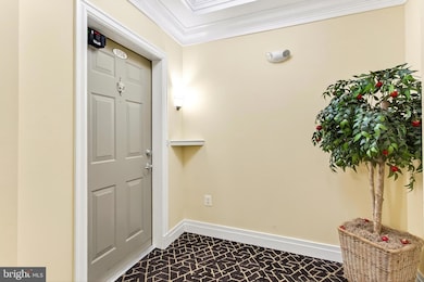 7880 Rolling Woods Ct unit 104, Springfield, VA 22152 - photo 5