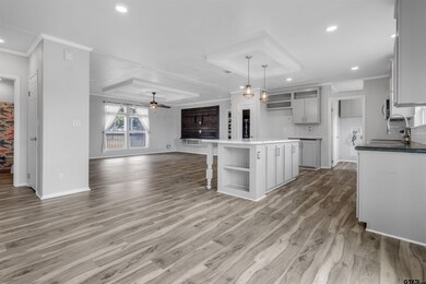 unlisted-address, Alba, TX 75410 - photo 6