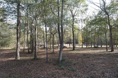 30602 Kate Dr, Magnolia, TX 77355 - photo 2