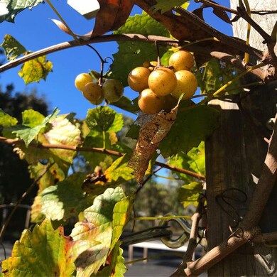 2259 Red Oak Rd, Perry, FL 32348 - photo 6