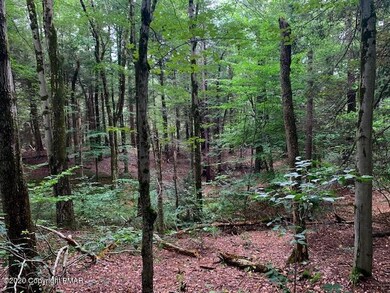 0 Lot 1 & Lot Off Stoney Hollow Rd unit PM-96806, Long Pond, PA 18334 - photo 4