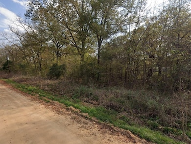 0 River St, Coldspring, TX 77331 - photo 6