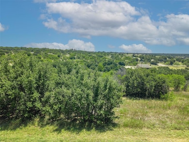 View of local wilderness